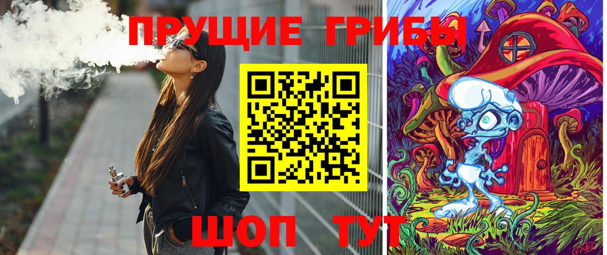 Псилоцибиновые грибы Psilocybe  Вход с VPN  Псилоцибиновые грибы прущие грибы  Родники 